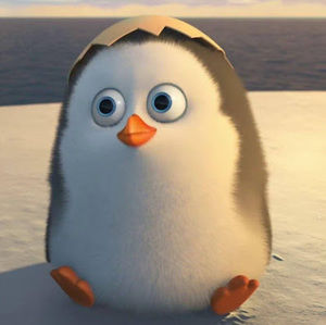 Meet your Posher, Holden